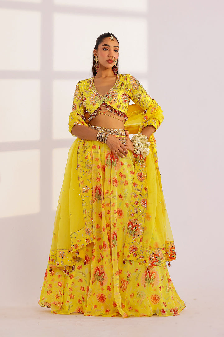 Ananya Lehenga Set