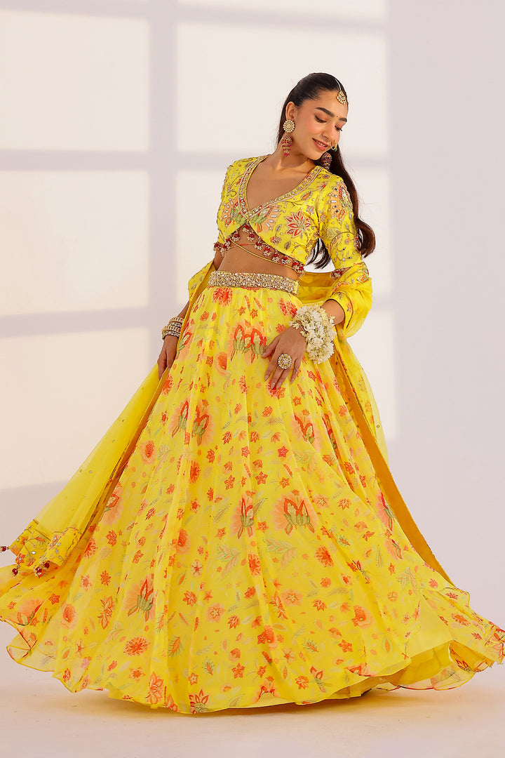 Ananya Lehenga Set