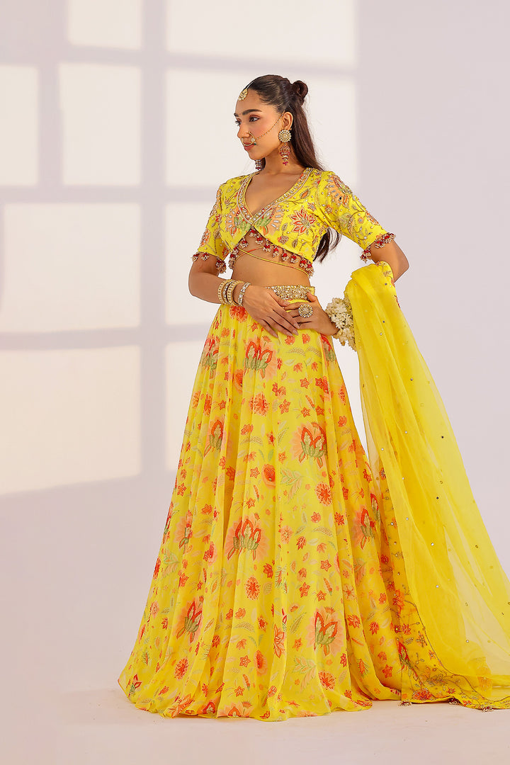 Ananya Lehenga Set