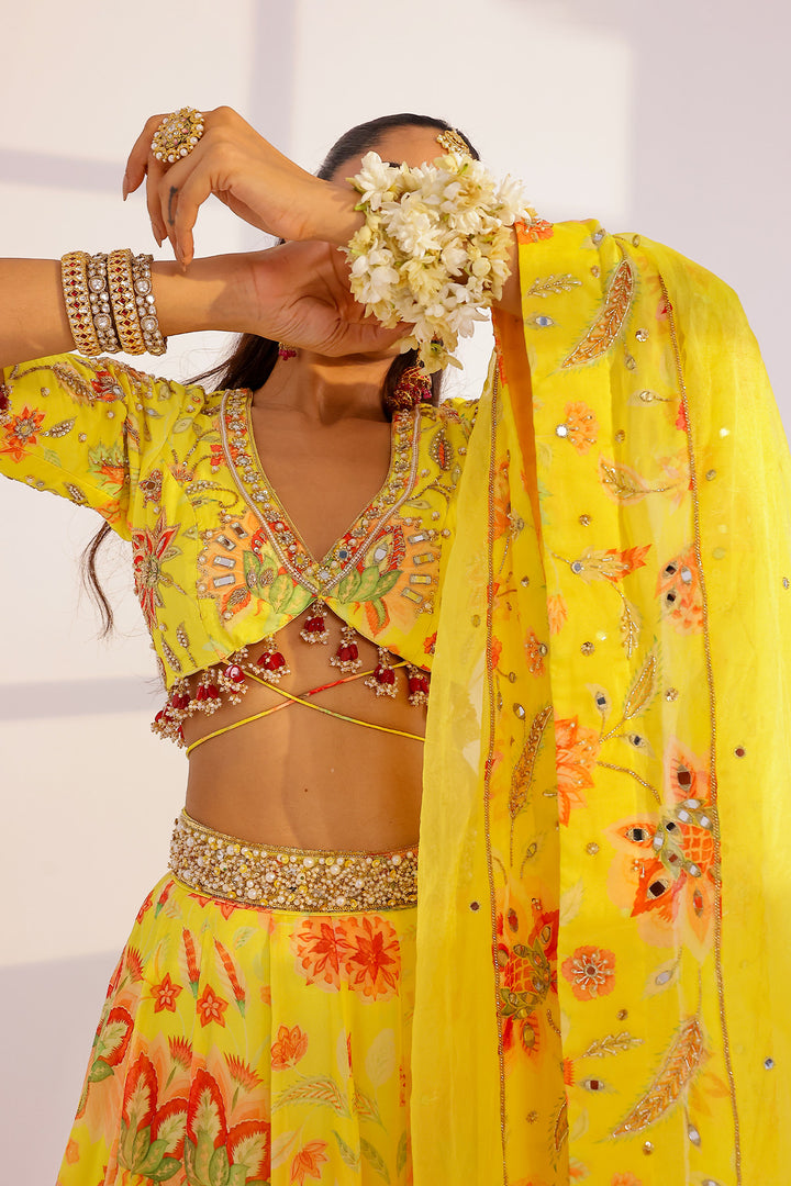 Ananya Lehenga Set