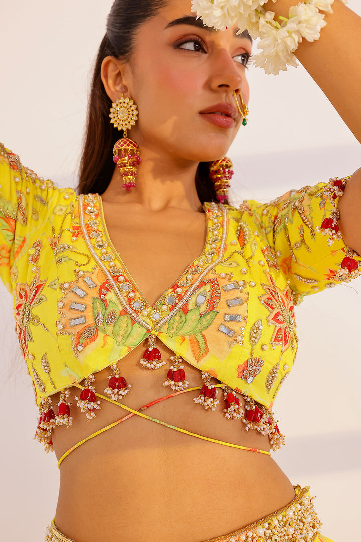 Ananya Lehenga Set