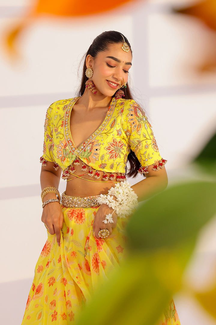 Ananya Lehenga Set