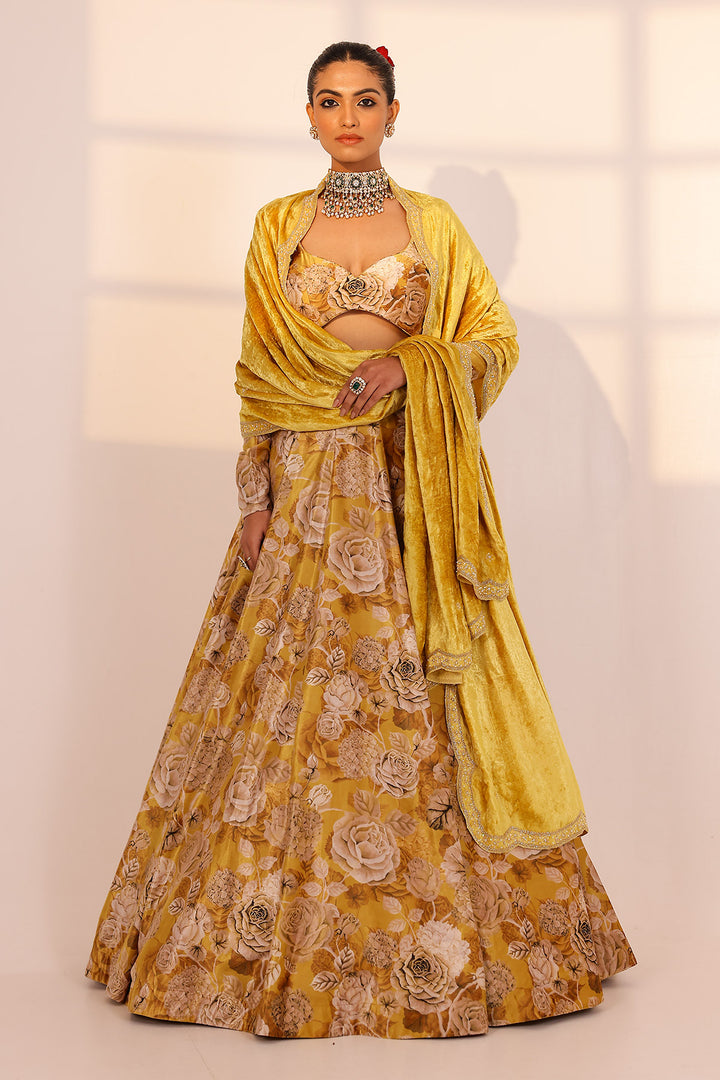 Gold lehenga set (velvet dupatta)