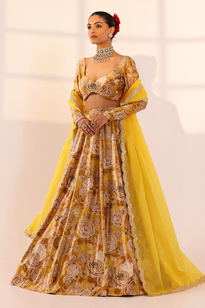 Gold lehenga set (organza dupatta)