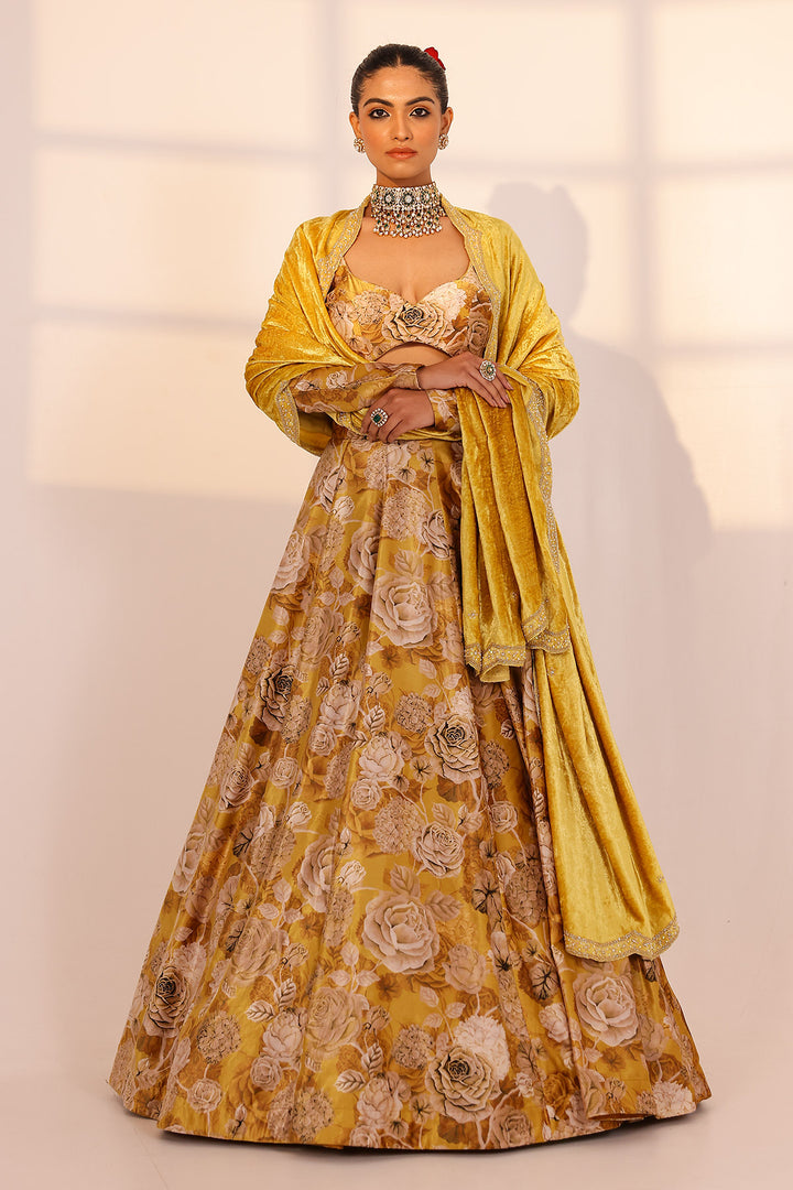 Gold lehenga set (velvet dupatta)